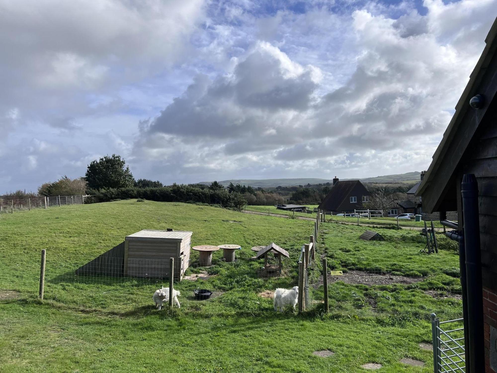 Poachers Hut - Captivating 1-Bed Cottage Shorwell Exterior foto